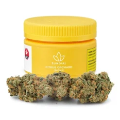 Sundial Citrus Orchard New Arrivals