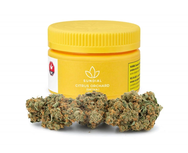 Sundial Citrus Orchard New Arrivals 4 Sundial Citrus Orchard New Arrivals