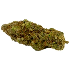 New Arrivals Violet Tourist Lilac Diesel