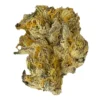 7ACRES Lemon Zktlz New Arrivals