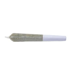 1Spliff King Tut PR 7 X 0.5 G Pre-Rolls