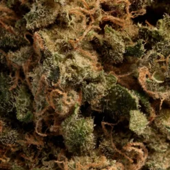 UP Cannabis 24K Gold UP20