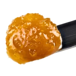 Premium 5 New Arrivals Glueberry OG