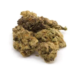 New Arrivals 314 Pure Powdered Donut