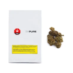 New Arrivals 314 Pure Powdered Donut