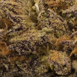 New Arrivals 314 Pure Powdered Donut