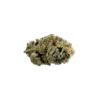 New Arrivals 34 Street Seed Co. 34 Street Cookie