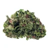 34 Street Seed Co. Zktlz X FPOG New Arrivals