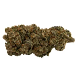 Flint & Embers Dosi-D