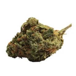 48North Where's My Bike New Arrivals