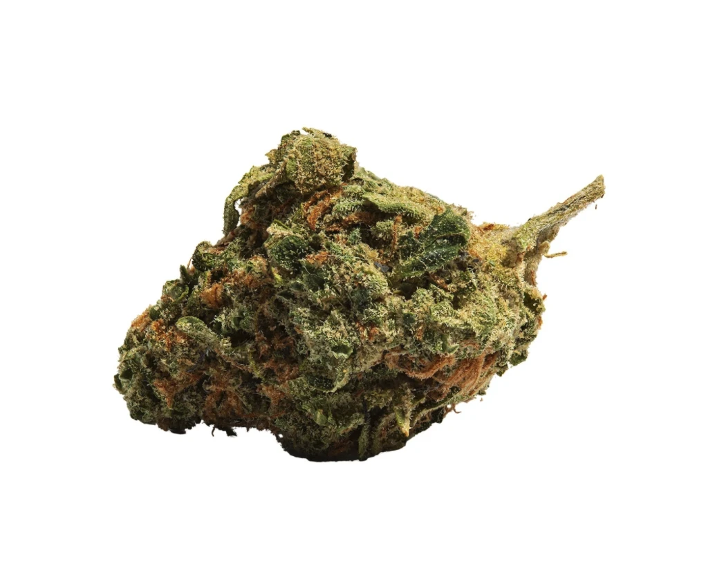 48North Where's My Bike New Arrivals 3 48North Where's My Bike New Arrivals