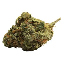 New Arrivals 48North Where's My Bike Vape Cartridge