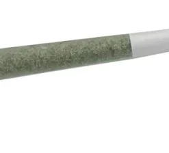 Elios Pink Lemonade [.5g]