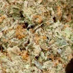 7ACRES Island Pink Kush Craft Collective New Arrivals