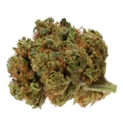 18twelve 8 Ball Kush New Arrivals