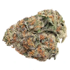 Jenn's OG New Arrivals Crazy Rntz