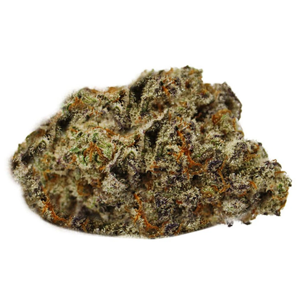 Pura Vida New Arrivals Legacy Gorilla Cookies 3 Pura Vida New Arrivals Legacy Gorilla Cookies