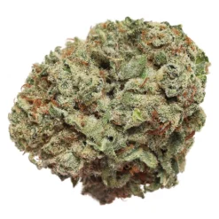 Jenn's OG New Arrivals Chocolate Marshmallows