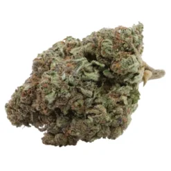 Cruuzy Tangerine Sunrise New Arrivals