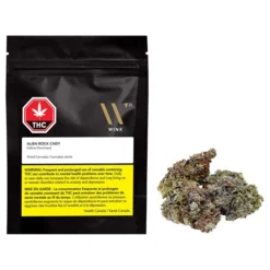 Wink Alien Rock Candy