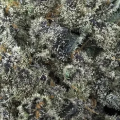 Tantalus Labs Sunset Sherbert