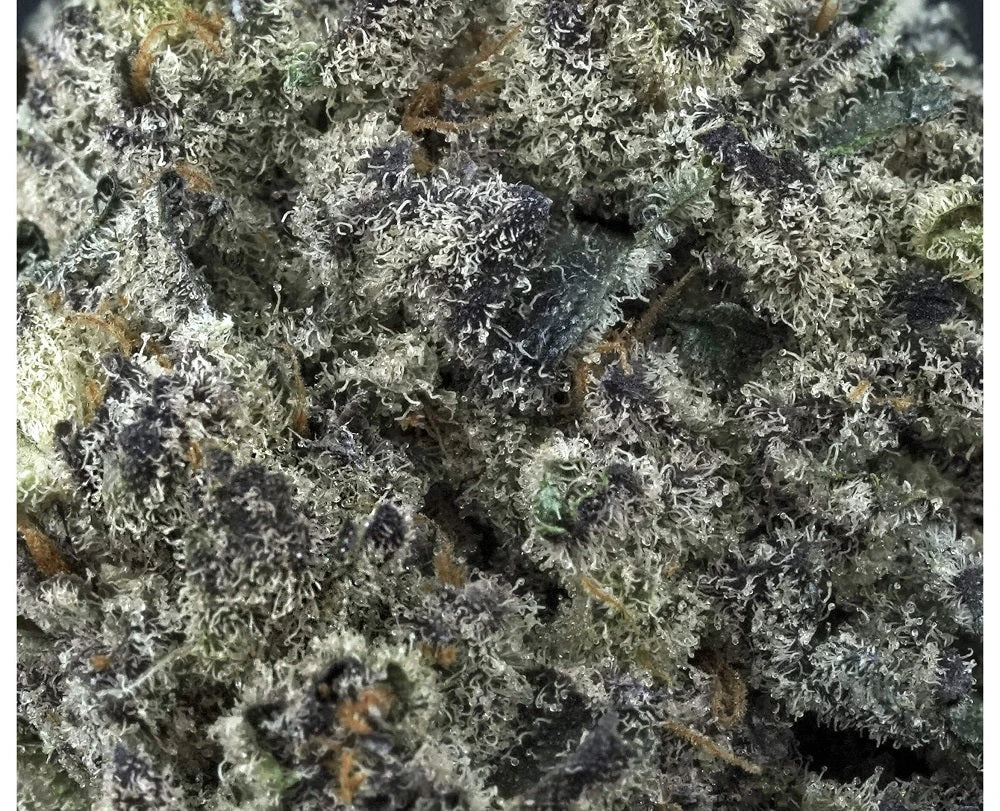 Tantalus Labs Sunset Sherbert 4 Tantalus Labs Sunset Sherbert