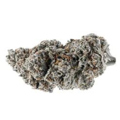 Tenzo Ice Cream Sandwhiches New Arrivals