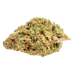 Good Supply Pineapple Express New Arrivals