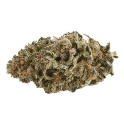 Sovereign - CA Strawberry Diesel 99 | Kawehnoke: Ken’niionhontésa Kaienkwá New Arrivals