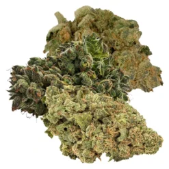 Salad Bar New Arrivals Caesar Salad Blend