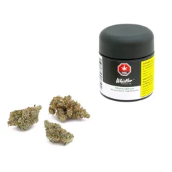 Whistler Cannabis Co. Deja Glue New Arrivals