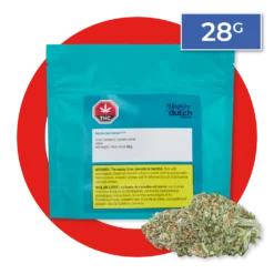 New Arrivals Highly Dutch Organic Amsterdam 7 New Arrivals Highly Dutch Organic Amsterdam