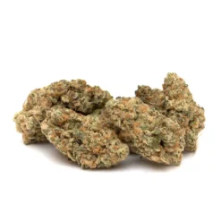 Terpenology New Arrivals Explore The Stars