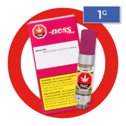 Ness New Arrivals Apricot Jelly