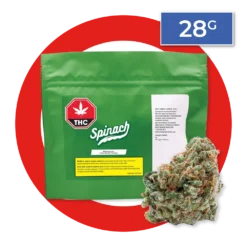 New Arrivals Spinach Wedding Cake