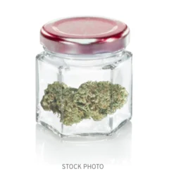 Entourage Pineapple Sorbet