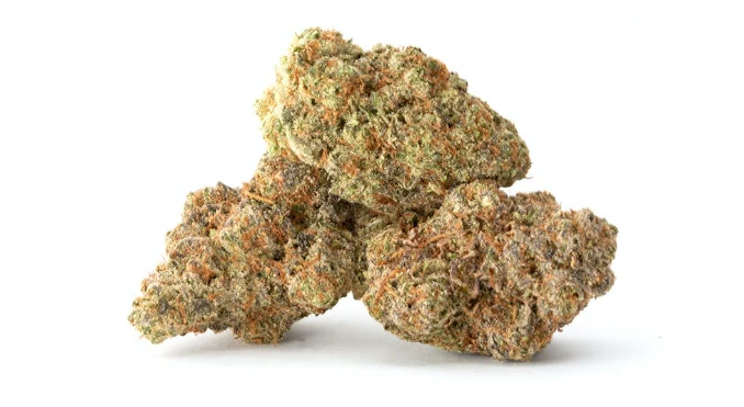 Gage Cannabis Co. New Arrivals Sweet Tart 3 Gage Cannabis Co. New Arrivals Sweet Tart