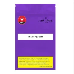 Loud Plug Space Queen