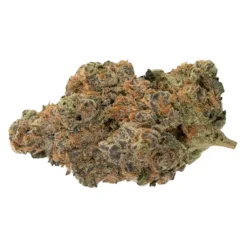 JOI Botanicals Jellien