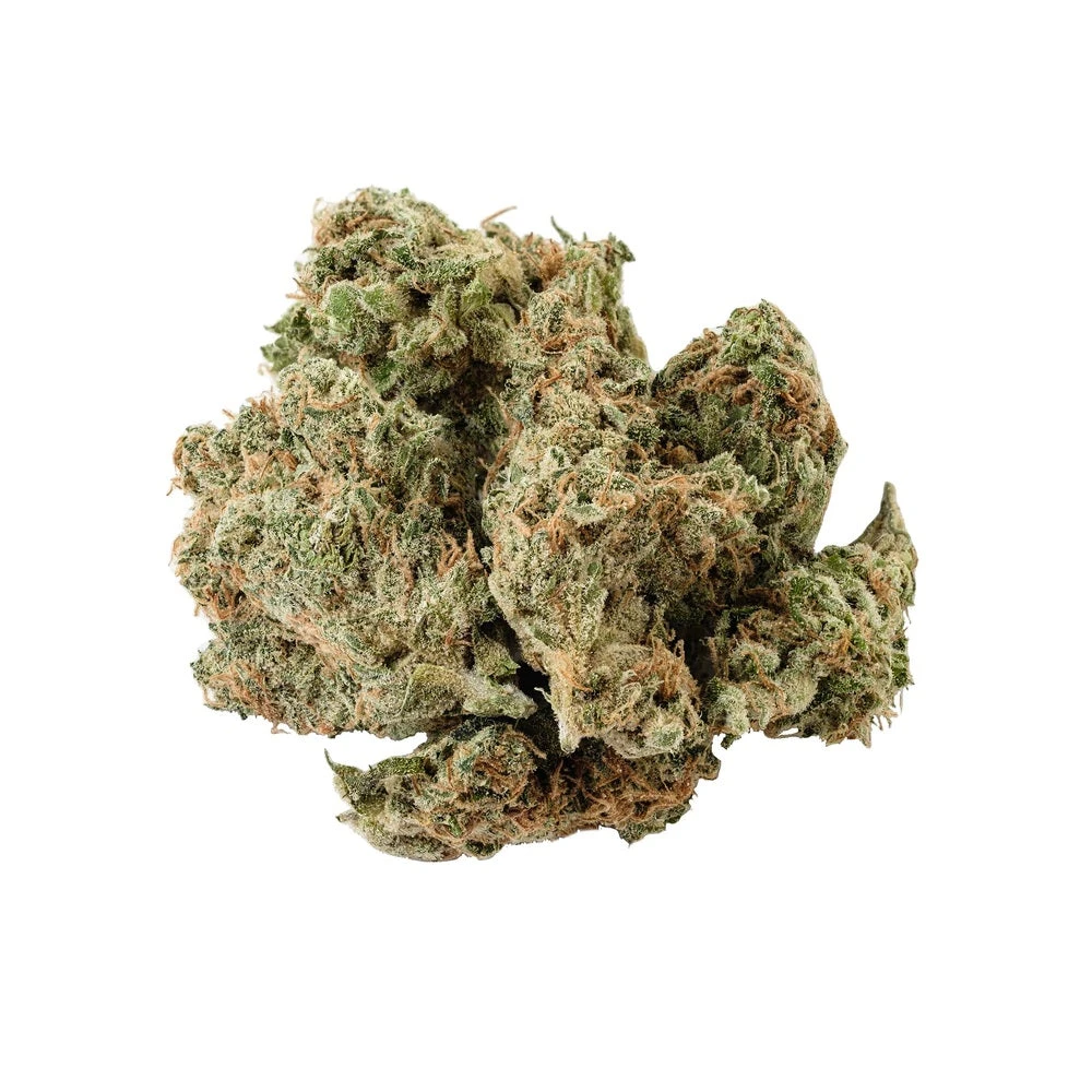 Kolab Project New Arrivals Tranquil Elephantizer 3 Kolab Project New Arrivals Tranquil Elephantizer