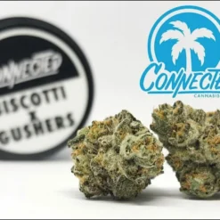 Connected Cannabis Co Biscotti X Gushers New Arrivals