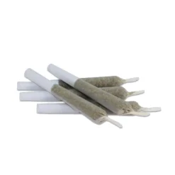 Pre-Rolls AHLOT Island Breeze 5 Pack Pre Roll (.35g)