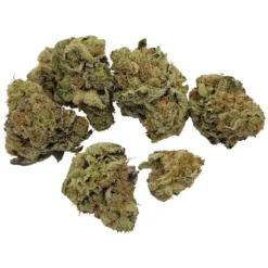 Alberta Bud Uppercut Punch New Arrivals