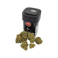 Alberta Bud Uppercut Punch New Arrivals