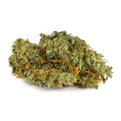 New Arrivals AltaVie Harmonic