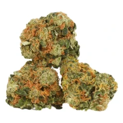 BZAM New Arrivals Amherst Sour Diesel