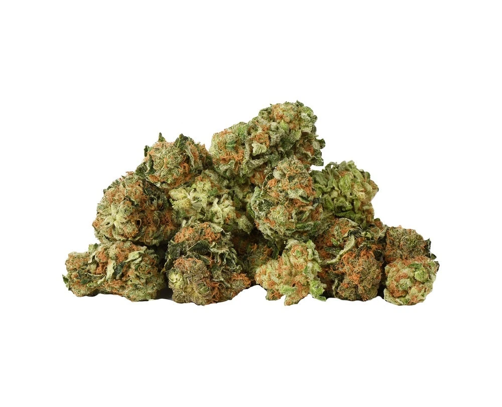 Table Top New Arrivals Amherst Super Skunk 4 Table Top New Arrivals Amherst Super Skunk