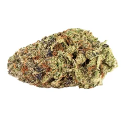 Reef Organic AQS Queen SanG