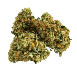 New Arrivals Aurora Banana Split