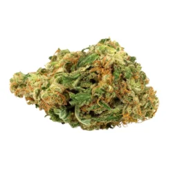 Aurora Blue Dream New Arrivals